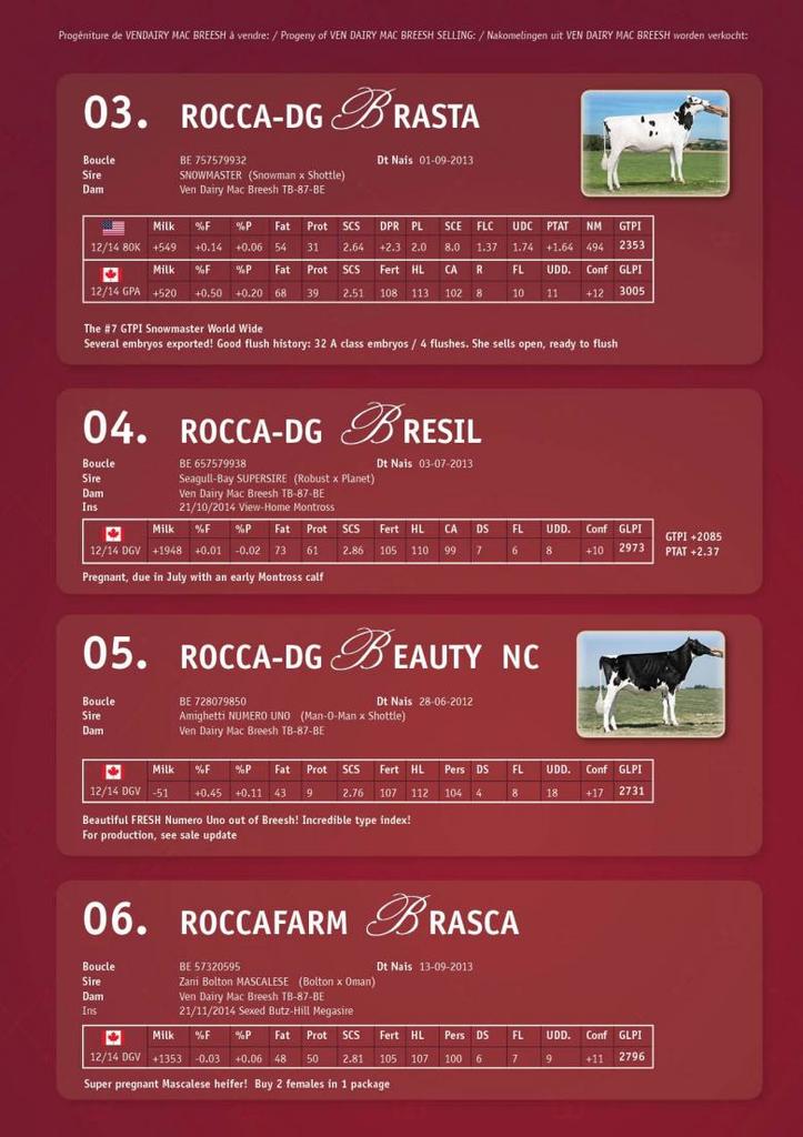 Datasheet for SOLD: REPLACEMENT: Rocca-DG Brenna