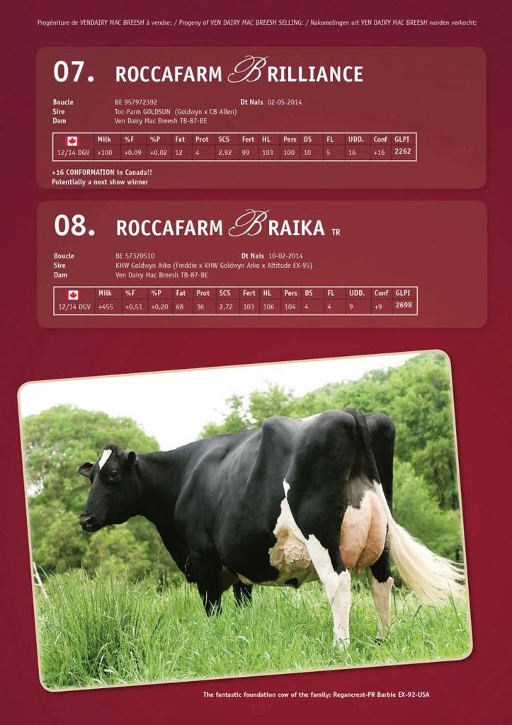 Datasheet for SOLD: Roccafarm Brilliance