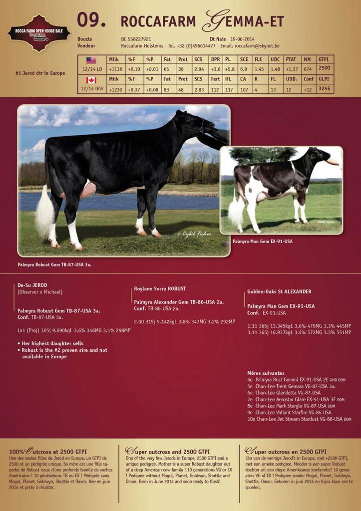 Datasheet for SOLD: Roccafarm Gemma-ET