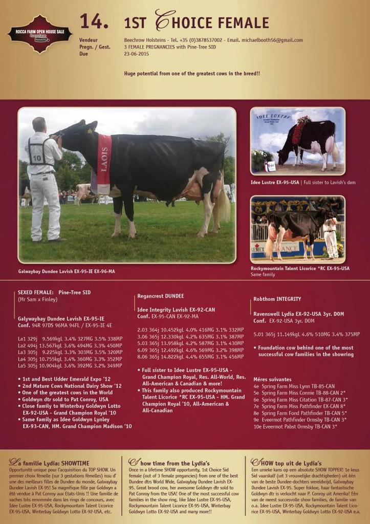 Datasheet for SOLD: 1st Choice Female x Galwaybay Dundee Lavish EX-95-IE