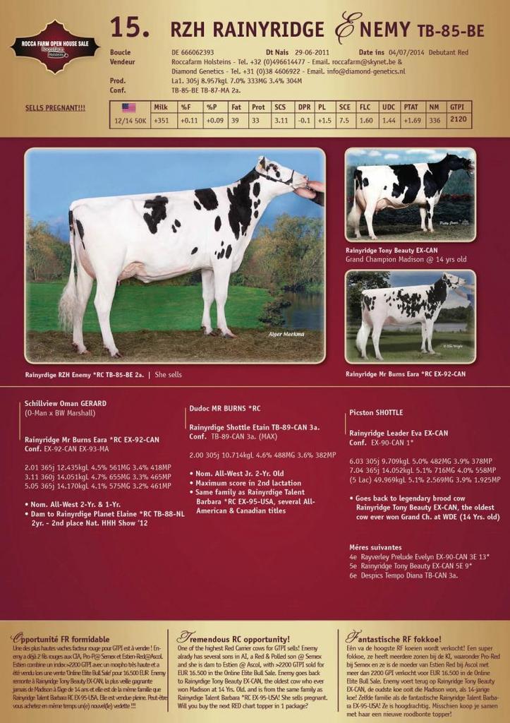 Datasheet for SOLD: RZH Rainyridge Enemy VG-85-BE 2yr.