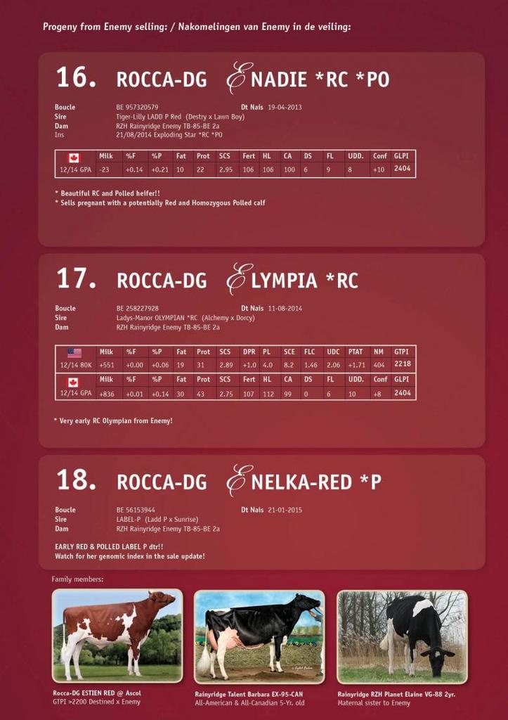 Datasheet for SOLD: Rocca-DG Enadie *RC *PO