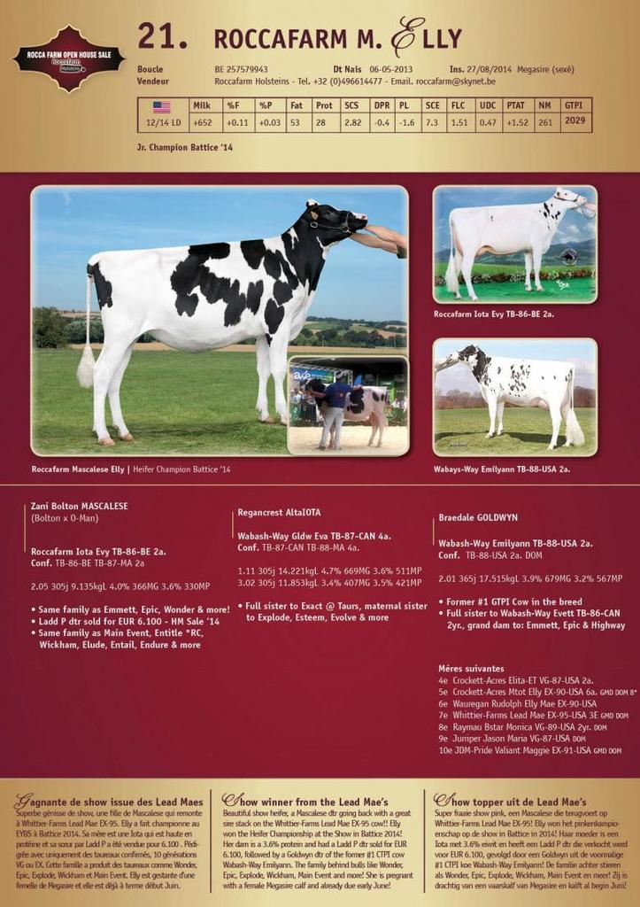 Datasheet for SOLD: Roccafarm Mascalese Elly