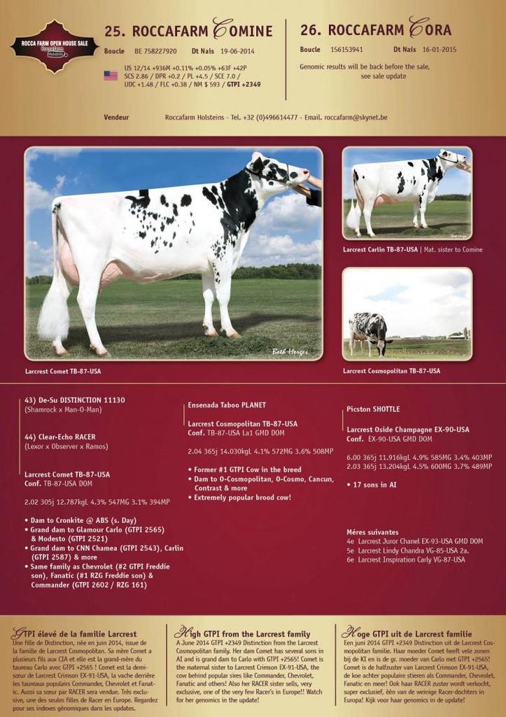 Datasheet for SOLD: Roccafarm Comine