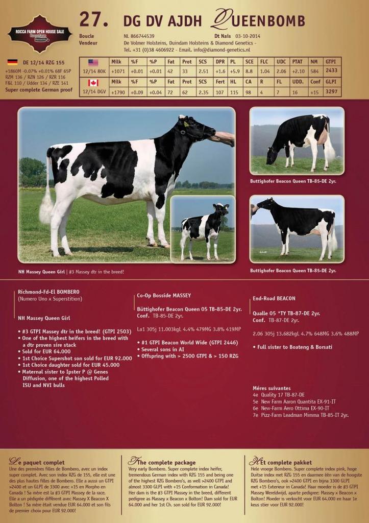 Datasheet for SOLD: DG DV AJDH Queenbomb