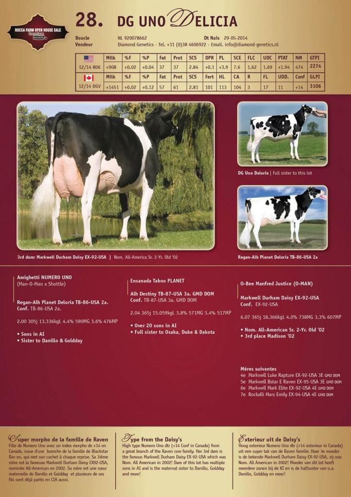 Datasheet for SOLD: DG Uno Delicia