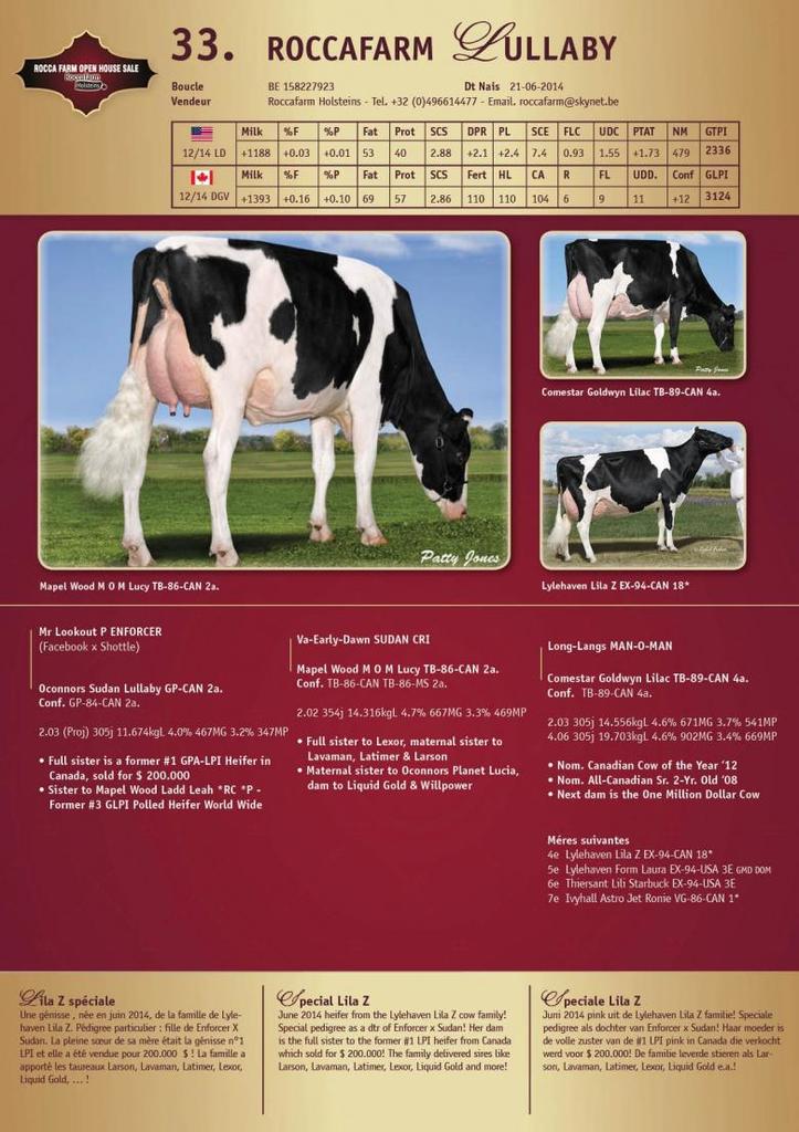 Datasheet for SOLD: Roccafarm Lullaby