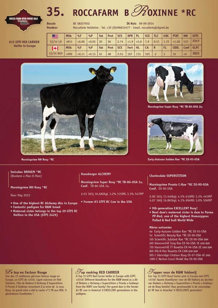 Datasheet for SOLD: Roccafarm B Roxinne *RC