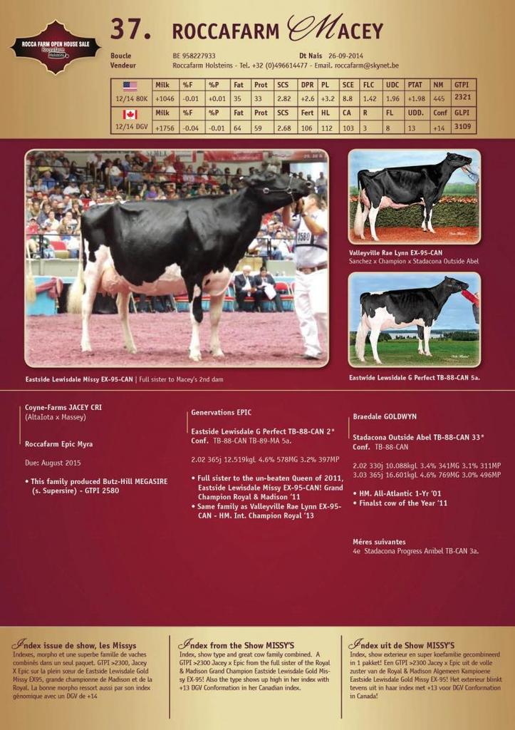 Datasheet for SOLD: Roccafarm Macey