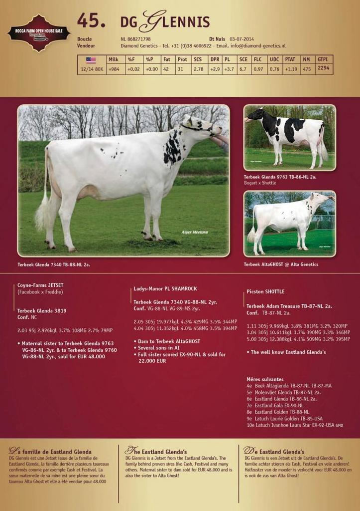 Datasheet for SOLD: DG Glennis