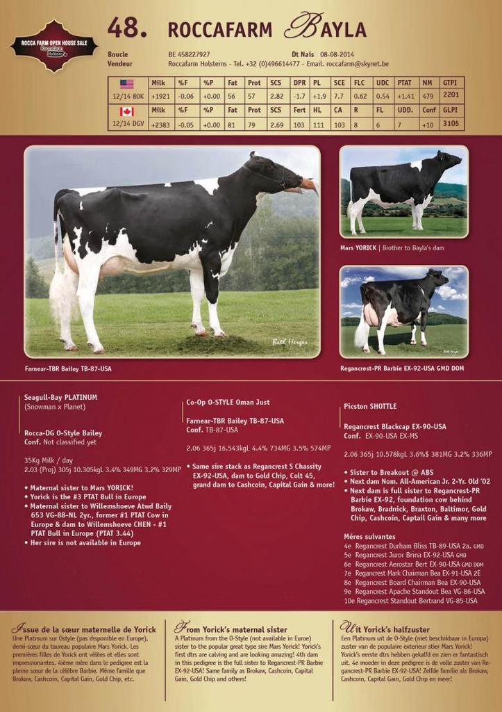 Datasheet for Roccafarm Bayla