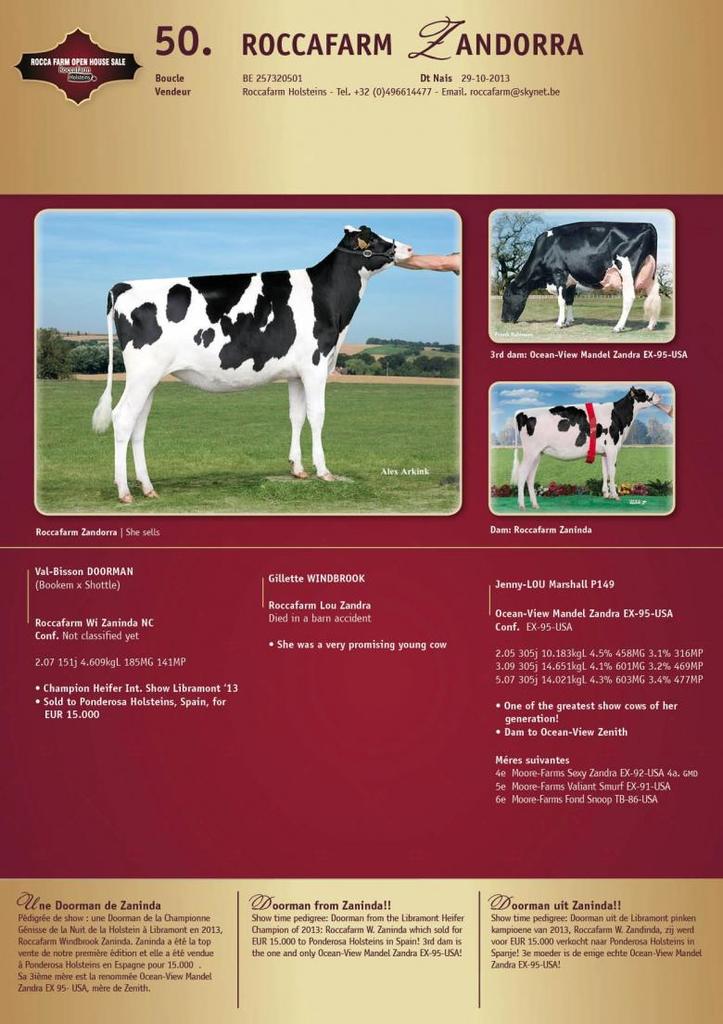 Datasheet for SOLD: Roccafarm Zandorra