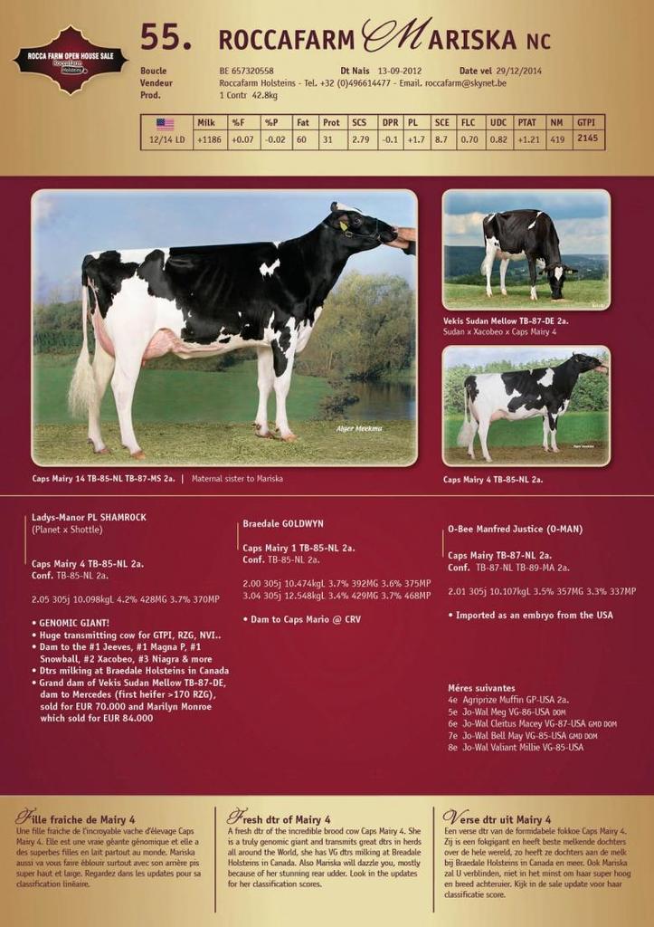 Datasheet for SOLD: Roccafarm Mariska VG-85-BE 2yr.