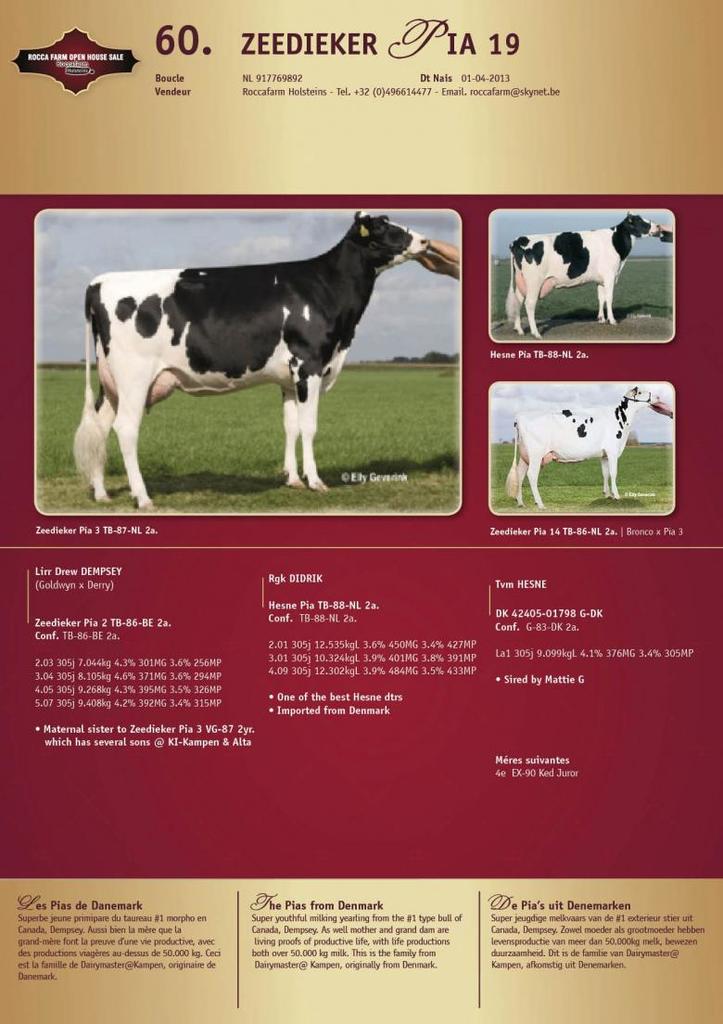 Datasheet for SOLD: Zeedieker Pia 19