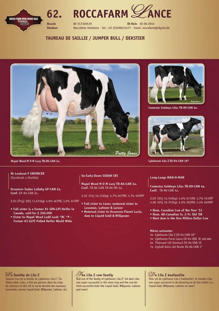 Datasheet for SOLD: Roccafarm Lance