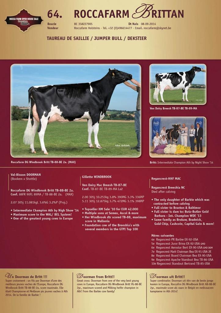 Datasheet for SOLD: Roccafarm Brittan