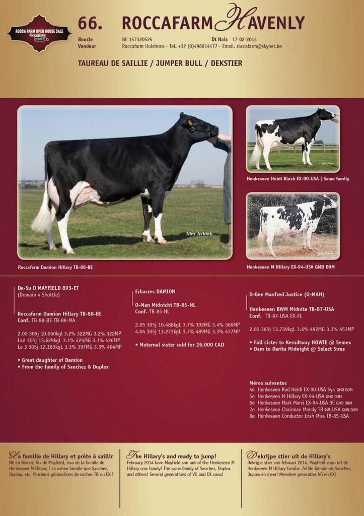 Datasheet for Roccafarm Heavenly