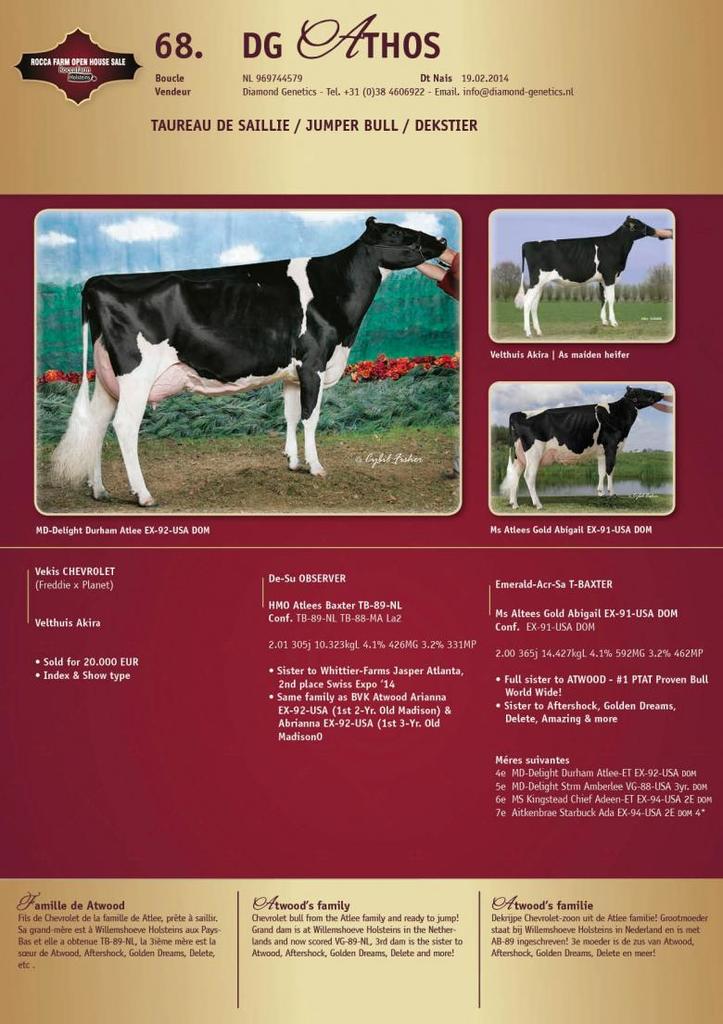 Datasheet for SOLD: DG Athos